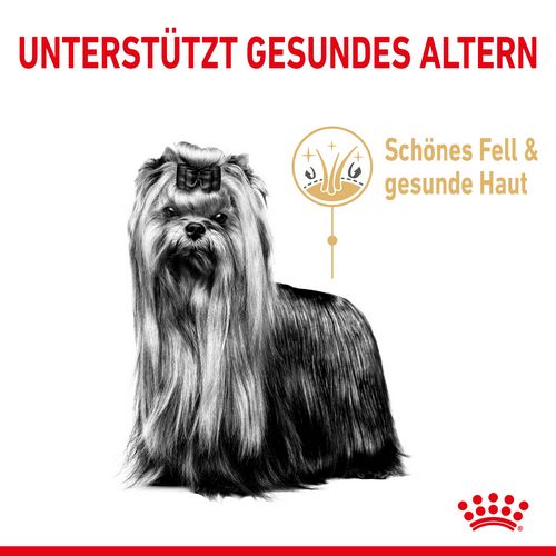 Royal Canin Yorkshire Terrier 8+ Trockenfutter für ältere Hunde 3 Kg