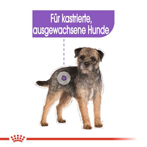 für kastrierte kleine Hunde