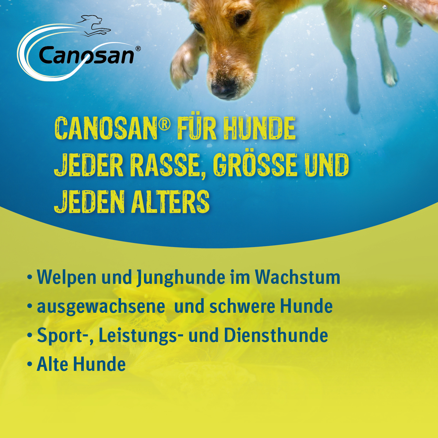 Boehringer Ingelheim-Canosan-HUND-PELLETS