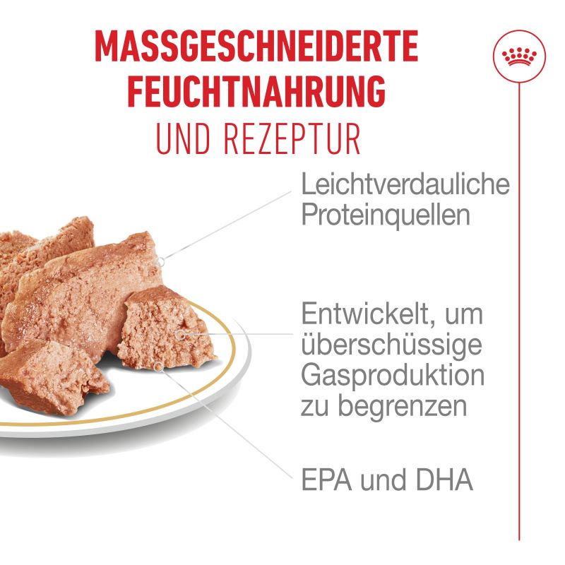 Royal Canin - FRENCH BULLDOG Loaf - Nassfutter HUND