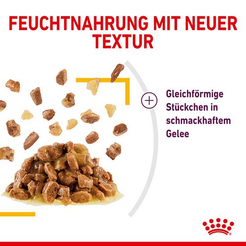 Royal Canin SENSORY Taste Nassfutter in Gelee für wählerische Katzen 12 x 85 g