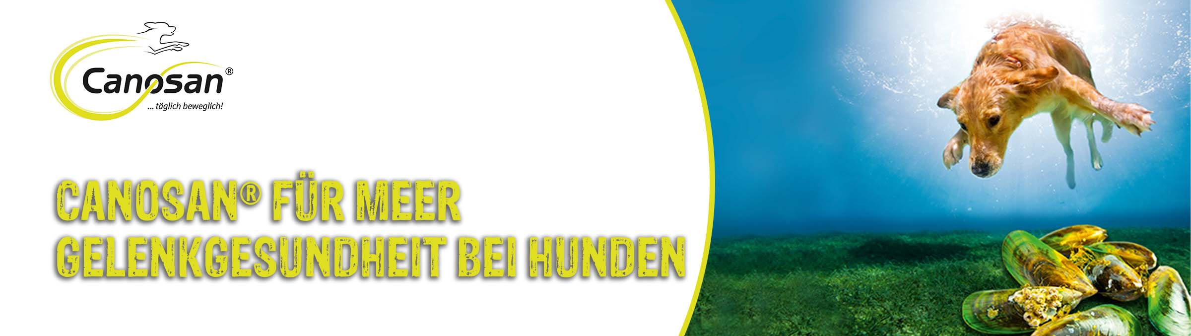 Canosan für Meer Gelenkgesundheit bei Hunden Canosan für Meer Gelenkgesundheit bei Hunden