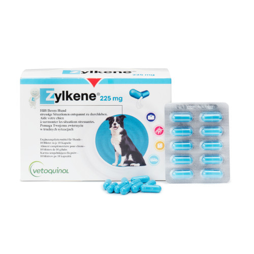 Zylkène 225mg Kapseln für Hunde von Vetoquinol