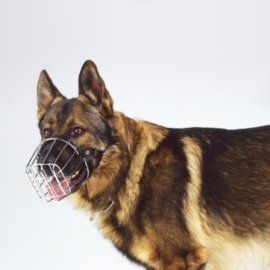 Maulkorb für Hunde - Metall verschiedene Größen