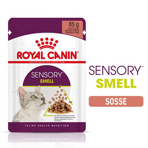 Royal Canin SENSORY Smell Nassfutter in Soße für wählerische Katzen 12 x 85 g