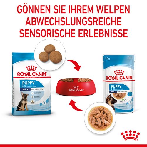 Royal Canin MAXI PUPPY Welpenfutter Nass für große Hunde 10 x 140 g