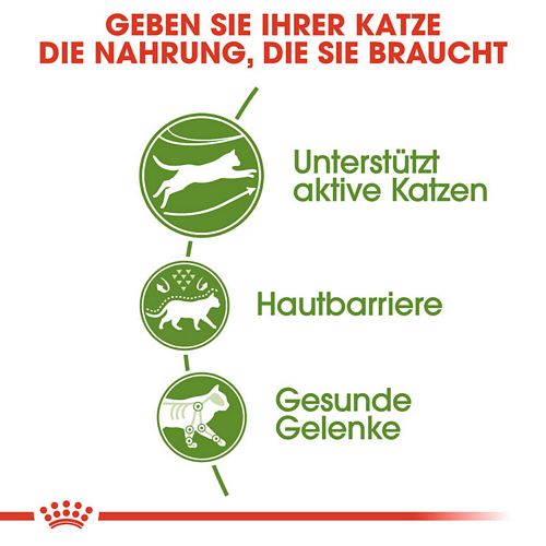 Royal Canin Outdoor Katzen Trockenfutter für Freigänger