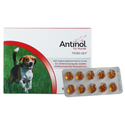 Antinol für Hunde zur Unterstützung des Gelenkstoffwechsels bei Osteoarthritis von Selectavet