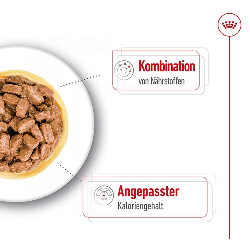 Royal Canin MINI AGEING 12+ - Nassfutter HUND Detail