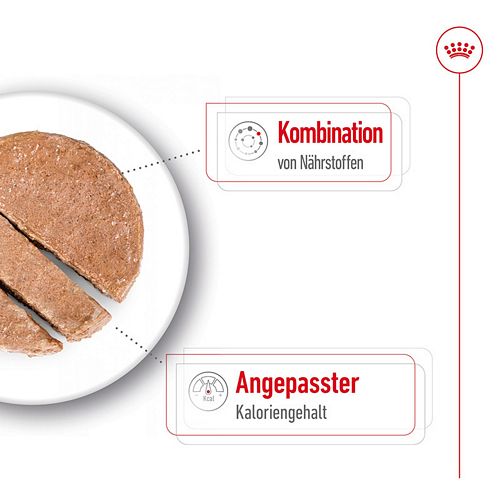 Royal Canin MINI AGEING 8+ - Nassfutter HUND Mousse