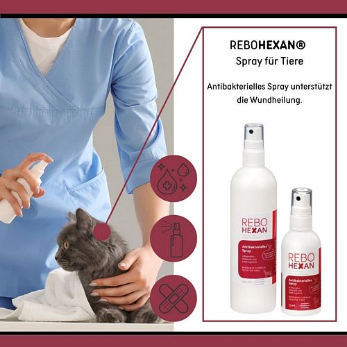 reboVet - ReboHexan - ANTIBAKTERIELLES SPRAY - 250 ml