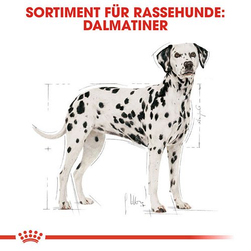 Royal Canin Dalmatiner Adult Trockenfutter für Dalmatiner