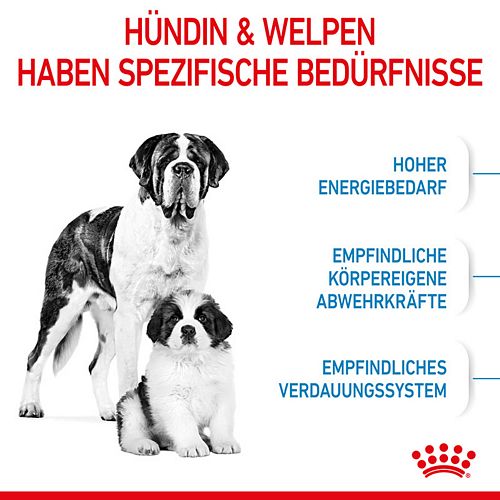 Royal Canin GIANT Starter für tragende Hündin und Welpen sehr großer Rassen Bedürfnisse