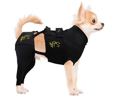 Medical Pet Shirt Protective Hinterbeinschutz