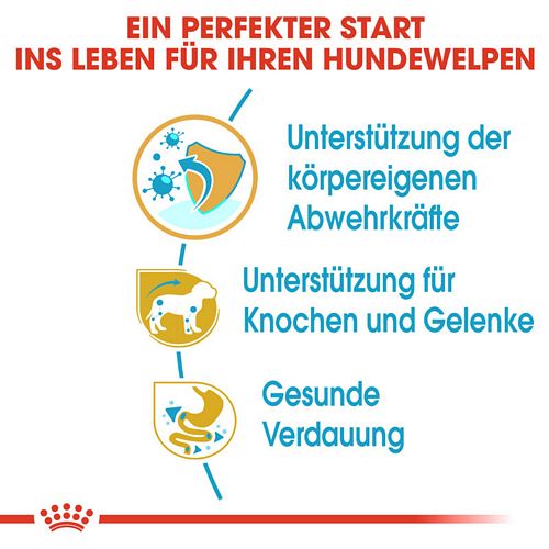 Royal Canin Dachshund Puppy Welpenfutter trocken Vorteile