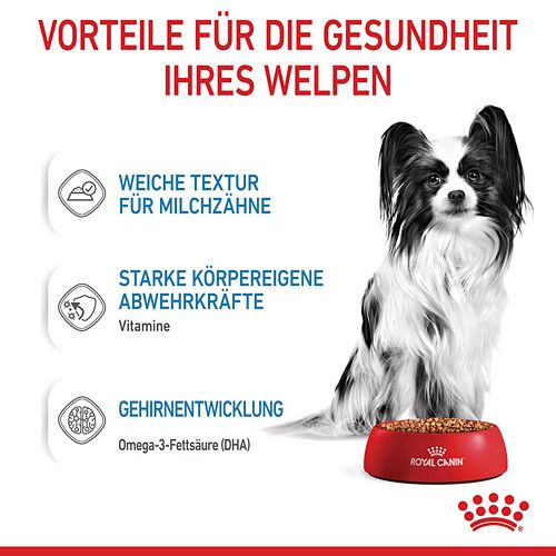 Royal Canin X-SMALL PUPPY - Nassfutter für Hundewelpen sehr kleiner Hunderassen - 12 x 85 g