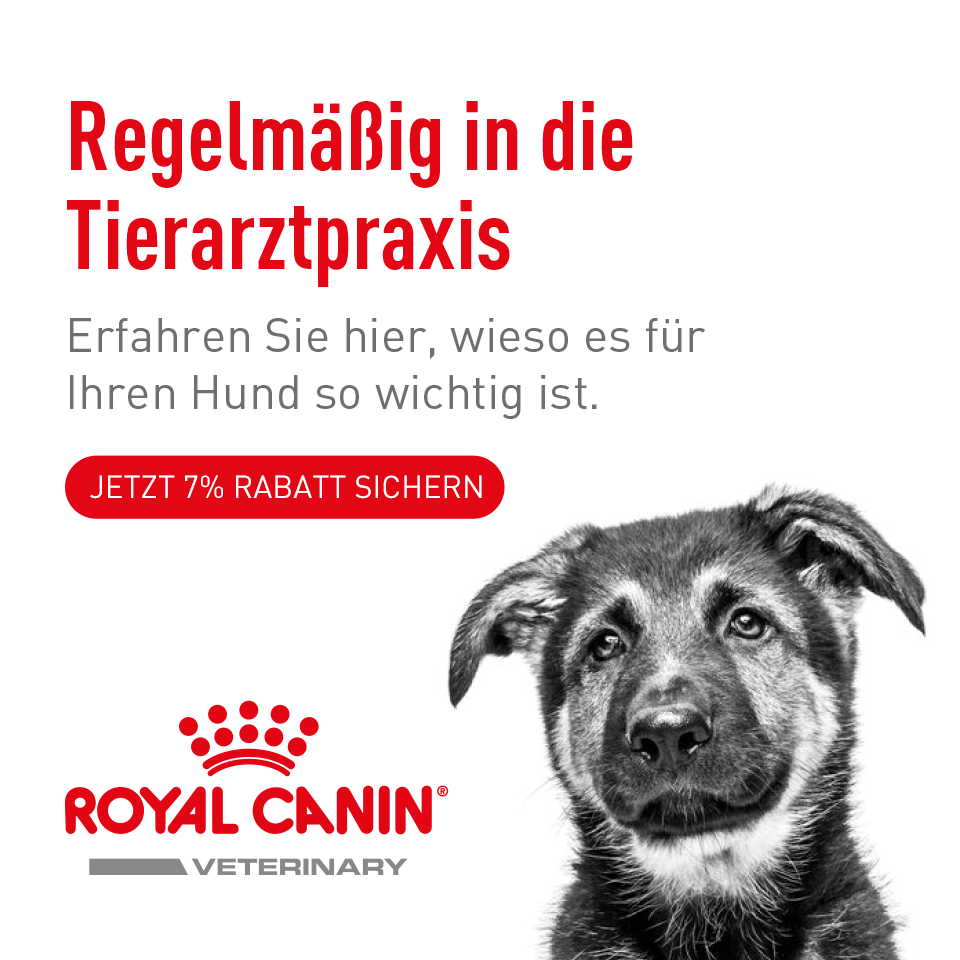 Royal Canin Veterinary Regelmäßig in die Tierarztpraxis Mobile Royal Canin Veterinary Regelmäßig in die Tierarztpraxis Mobile
