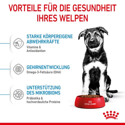 Royal Canin MAXI Puppy Trockenfutter für Welpen großer Rassen 15 kg