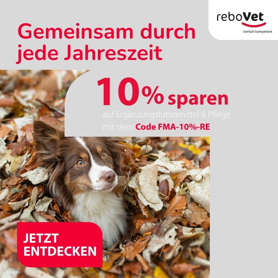 Rebovet Rabattaktion Q3