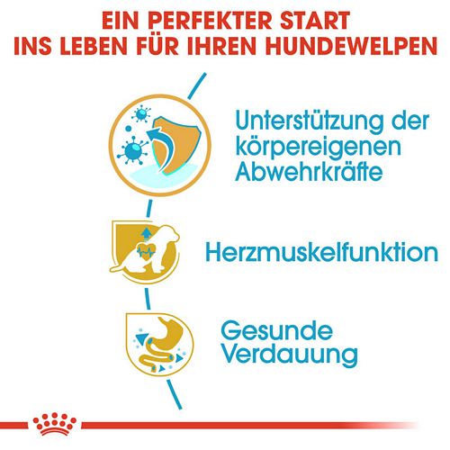 Royal Canin Cavalier King Charles Puppy Welpenfutter trocken Vorteile