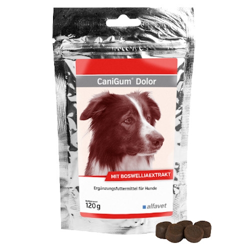 CaniGum Dolor 120g von alfavet für Hunde