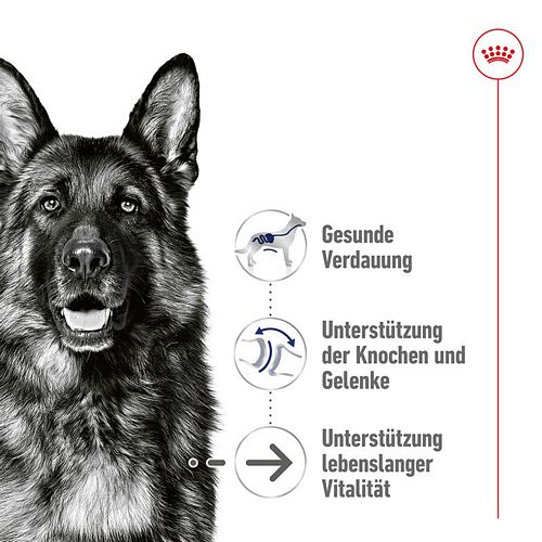 Royal Canin MAXI Ageing 8+ - Nassfutter Vorteile