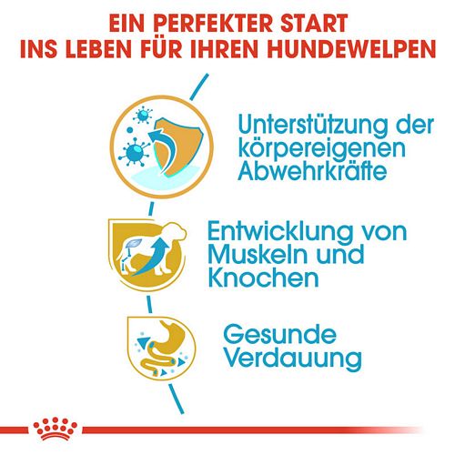 Royal Canin Rottweiler Puppy Welpenfutter trocken Vorteile