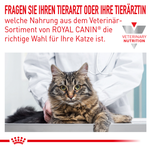 Royal Canin Veterinary ANALLERGENIC Trockenfutter für Katzen 2 kg