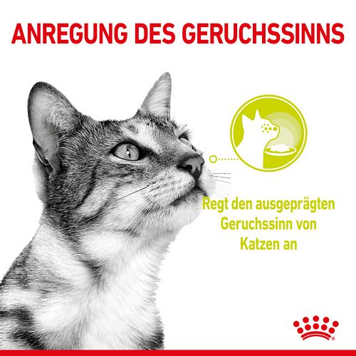 Royal Canin SENSORY Smell Taste Feel Nassfutter Multipack in Soße für wählerische Katzen 12 x 85 g