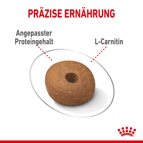 Royal Canin LIGHT WEIGHT CARE MEDIUM Trockenfutter für zu Übergewicht neigenden Hunden 12 kg