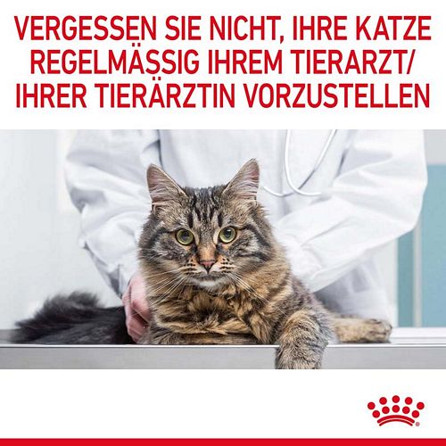 Royal Canin Urinary Care in Soße