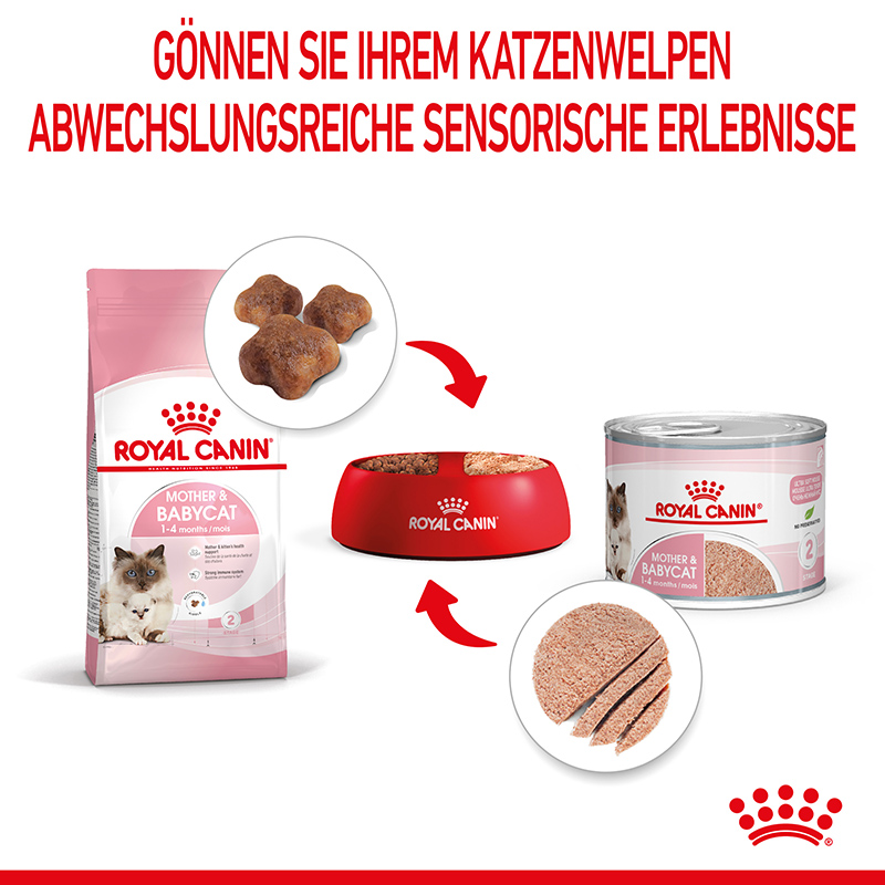 Royal Canin MOTHER & BABYCAT Mousse für tragende Katzen und Kitten 12 x 195 g