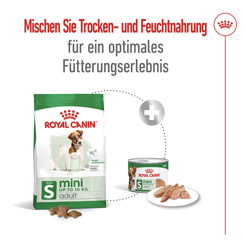 Royal Canin MINI ADULT - Nassfutter für ausgewachsene kleine Hunde - 12 x 195 g