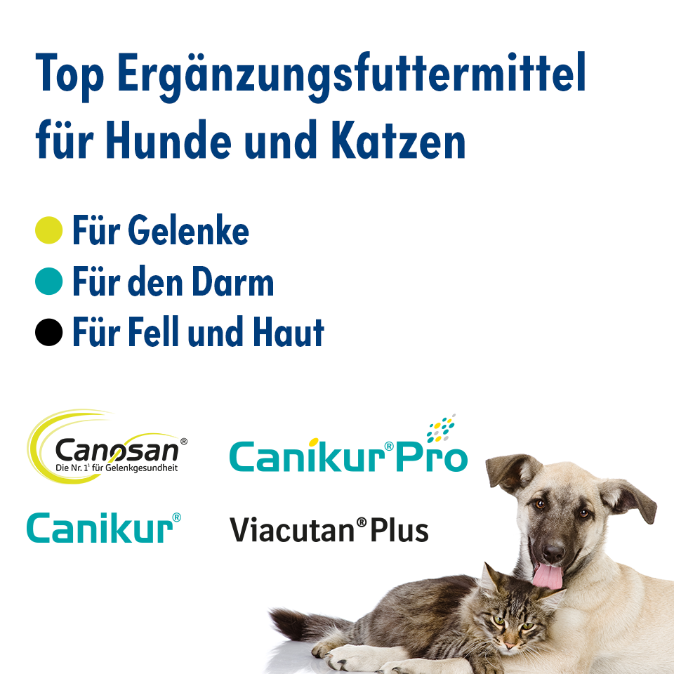 Top Ergänzungsfuttermittel Top Ergänzungsfuttermittel