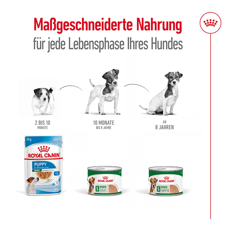 Royal Canin MINI ADULT - Nassfutter für ausgewachsene kleine Hunde - 12 x 195 g