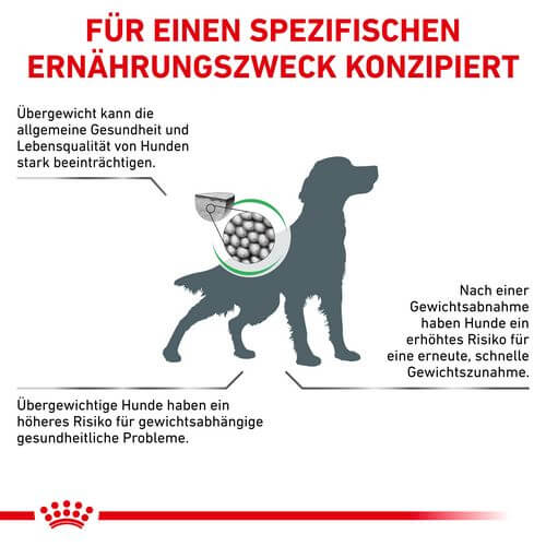 Royal Canin Veterinary SATIETY WEIGHT MANAGEMENT Trockenfutter für Hunde 12 kg