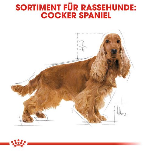 Royal Canin Cocker Adult Hundefutter trocken