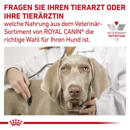 Royal Canin Veterinary CARDIAC Nassfutter für Hunde  12 x 200 g