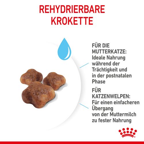 Royal Canin MOTHER & BABYCAT Katzenfutter für tragende Katzen und Kitten 4 kg