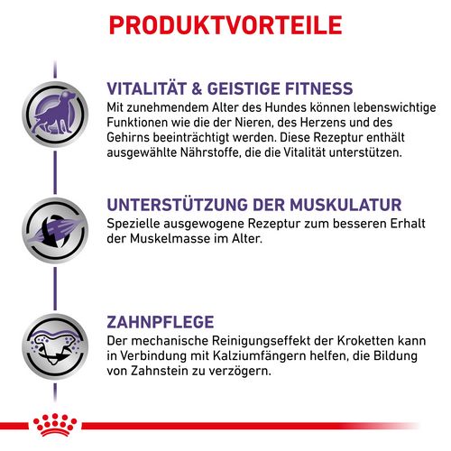 Royal Canin Expert MATURE CONSULT SMALL DOGS Trockenfutter Vorteile