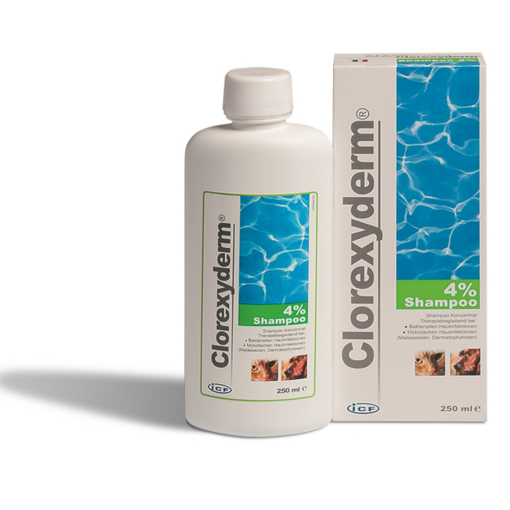 Clorexyderm Shampoo 4% 250ml für Hunde und Katzen zur Reinigung der ...