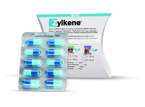 Zylkène 450mg - 10 Kapseln für große Hunde von Vetoquinol