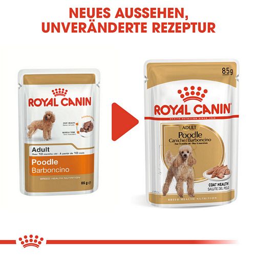 Royal Canin Poodle Adult in Soße Hundefutter nass für Pudel