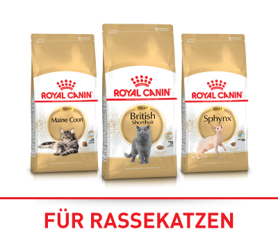 Royal Canin für Rassekatzen Royal Canin für Rassekatzen