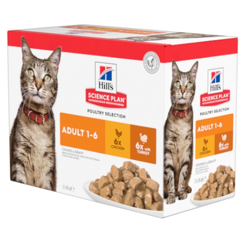 Hill's Science Plan Feline Adult Geflügelpack (Huhn, Truthahn) Frischebeutel 12 x 85g