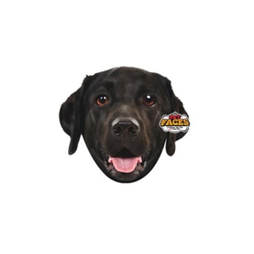 Holland animal care Pet Faces Holland animal care Pet Faces