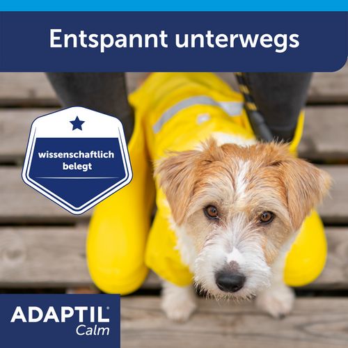 ADAPTIL Calm Halsband - Anti Stress Erziehungshalsband für kleine Hunde