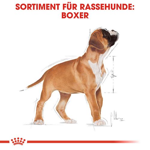 Royal Canin Boxer Puppy Welpentrockenfutter