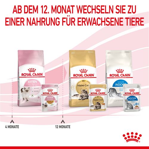 Royal Canin KITTEN Nassfutter in Gelee für Kätzchen 12 x 85 g