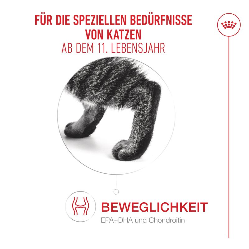 Royal Canin - AGEING 11+ AIRLIFT Loaf - Nassfutter KATZE